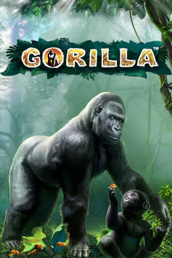 Gorilla - играть онлайн | Вулкан Казино Казахстан - без регистрации