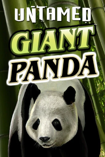 Untamed - Giant Panda - играть онлайн | Вулкан Казино Казахстан - без регистрации