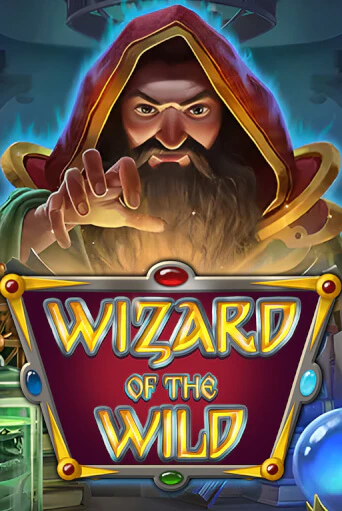 Wizard of the Wild - играть онлайн | Вулкан Казино Казахстан - без регистрации